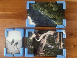 3er Set Bilder mit Rahmen – Naturfotografie