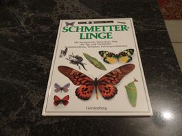 Schmetterlinge Bilderbuch Gerstenberg Verlag Neuwertig SE6