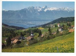 GOLDIWIL ob Thun