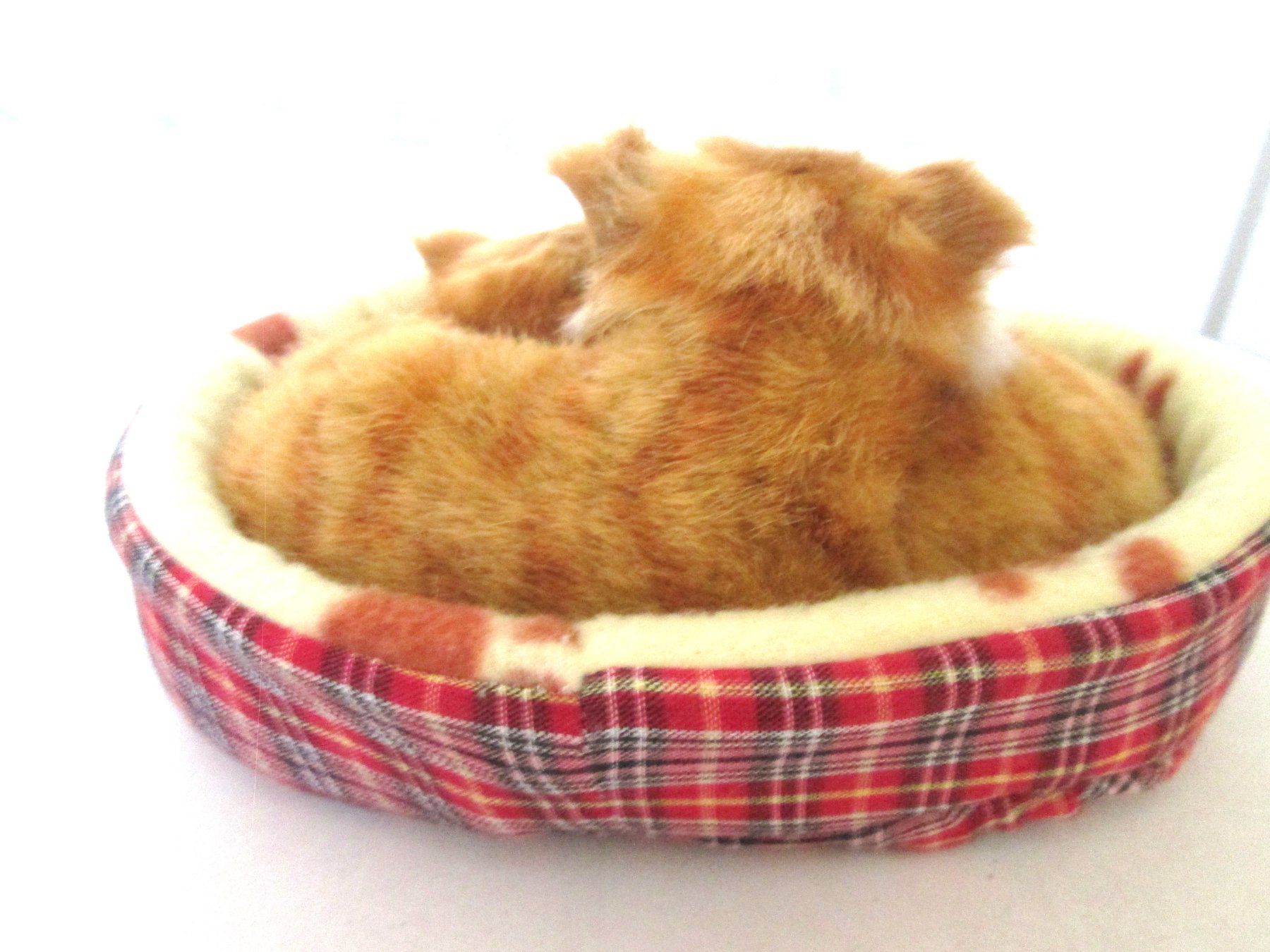 Figuren: 2 Plüschkatzen – Gebraucht aus Sementina von babucia 1