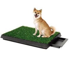 Hundeklo Hundetoilette mit Kunstrasen