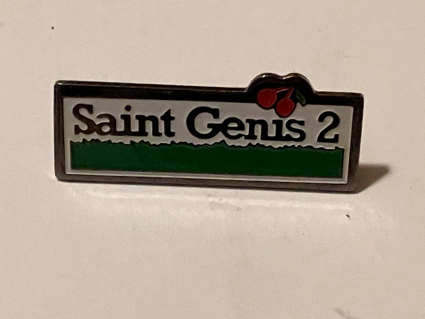 Placchette & Badge: 1 Pin Saint Genis 2 – Usato da Basel venduto da djwwpp