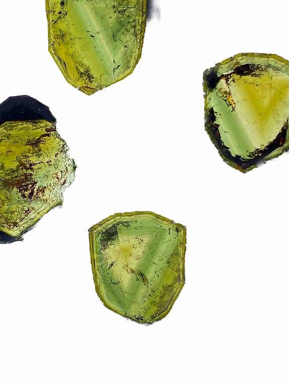 Minerali & Pietre curative: Turmalin Querschnitt – Usato da Arlesheim venduto da Siebenschlaefer7 1