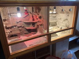 Terrarium mit Zubehör gebrauchter Zustand