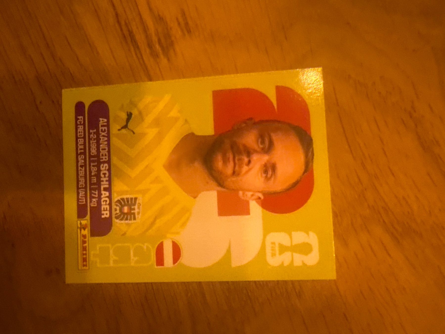 Panini Carte collezionabili: Panini – Usato da Langnau i. E. venduto da Acrjl