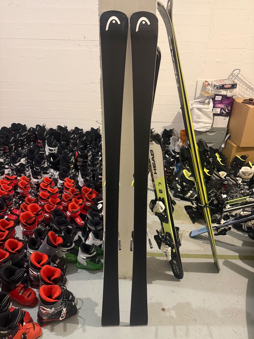Head Skis: Head WC Rebels 165 cm ab Service – Gebraucht aus Zürich von bigfood123 4
