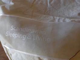 Duvet 60% Leinen 40% Seide 750g Füllgewicht 