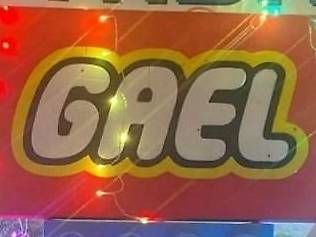 Giochi: sagome in polistirolo – Usato da Pregassona venduto da furtella_20
