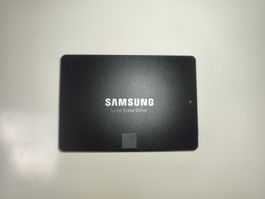 Samsung 850 EVO SSD – 500 GB (SATA III)