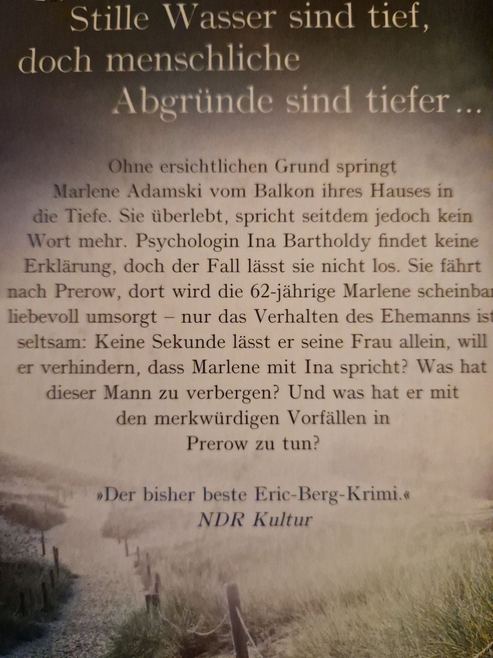Bücher: Eric Berg Die Schattenbucht – Gebraucht aus Neuhausen am Rheinfall von Alchimista 1