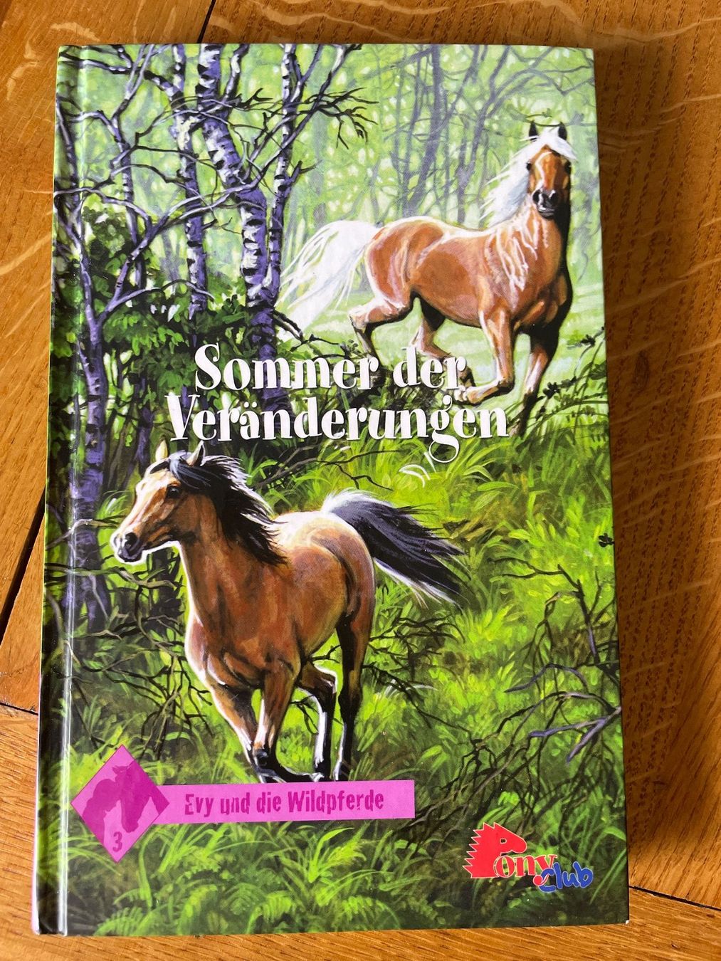 Libri: Sommer der Veränderungen -Evy und Wildpferde – Usato da Genève venduto da Livsonman
