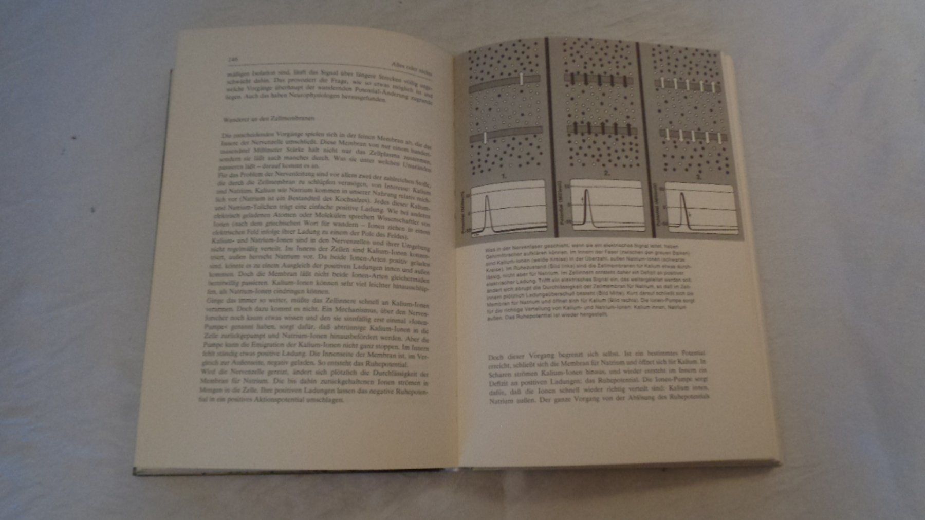 Libri: Manipulation - Der Griff nach dem Gehirn / Erwin Lausch – Usato da Bellach venduto da JingleJerry 3