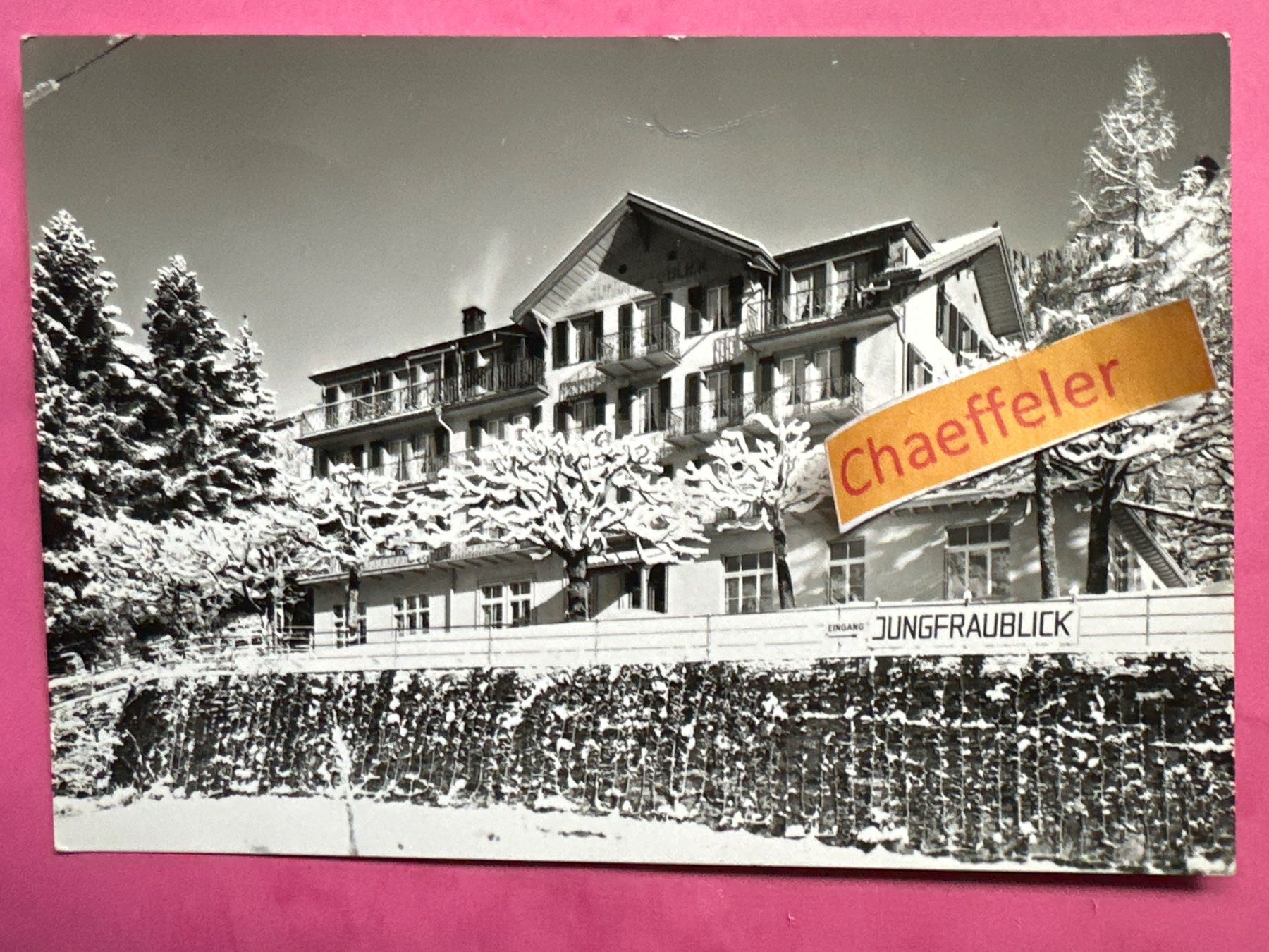Cartoline postali: 2884 CVIM - Ferienheim Jungfraublick, Wengen – Usato da Zürich venduto da Chaeffeler