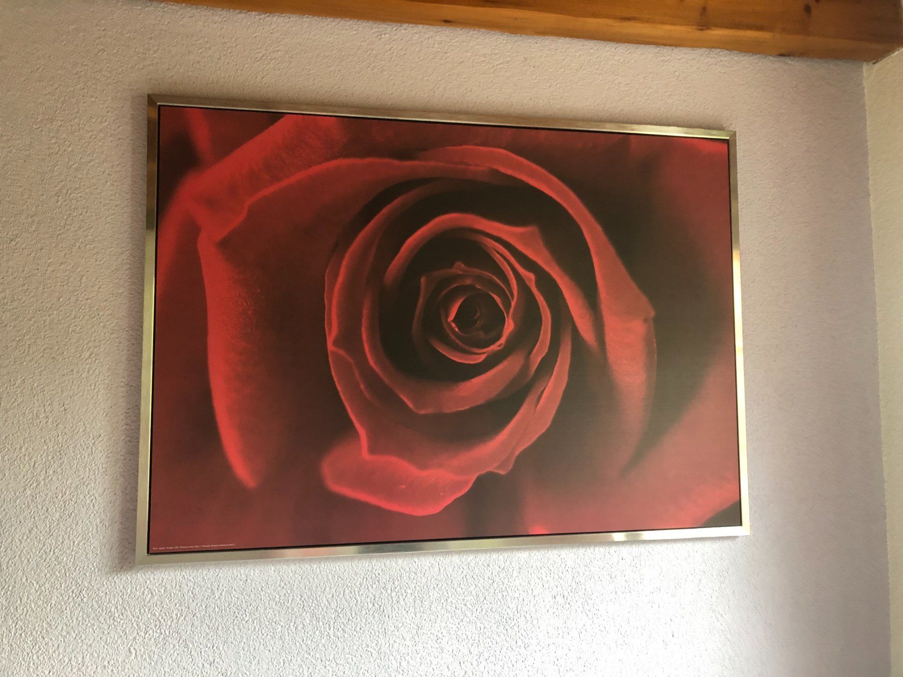 Poster & Bilder: Grosses Bild von Ikea – Gebraucht aus Hinwil von mounten
