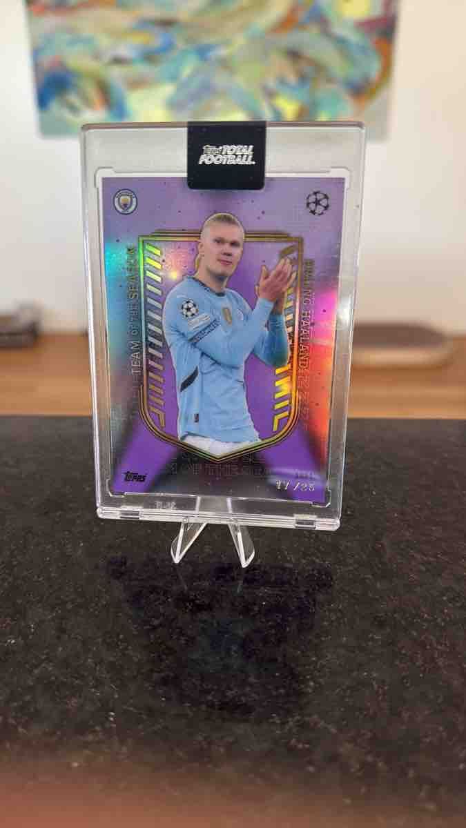 Topps Carte collezionabili: Topps Haaland Karte 17/25 neu – Usato da Schüpfheim venduto da Bazi_Bayer