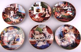Sammelteller Lot 2 Katzenkinder