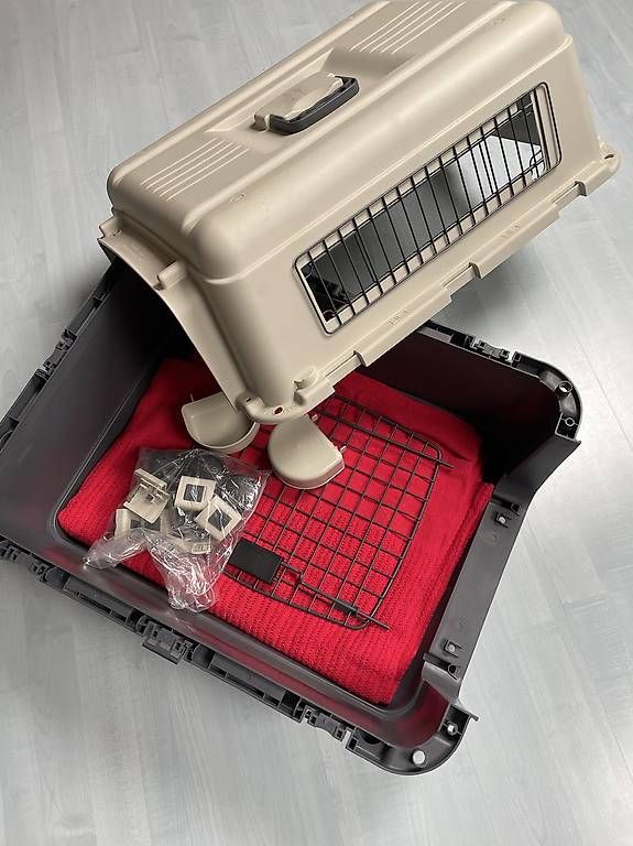 Gabbie, trasporto & Sicurezza: Hunde Transport Box – Usato da Schmitten FR venduto da Zimtstengel 3