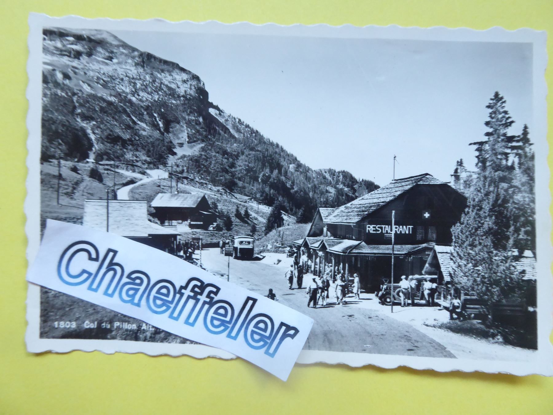 Cartoline postali: 1803 Col-du-Pillon  alt 1550 m. – Nuovo (secondo la descrizione) da Zürich venduto da Chaeffeler