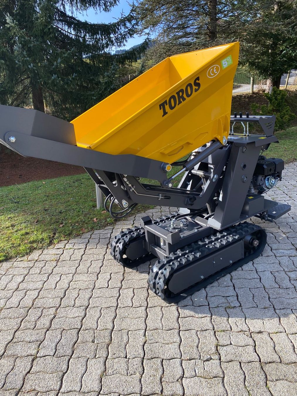 Alle Maschinen: Raupendumper, Top Zustand – Gebraucht aus Altstätten SG von Crazy20 7