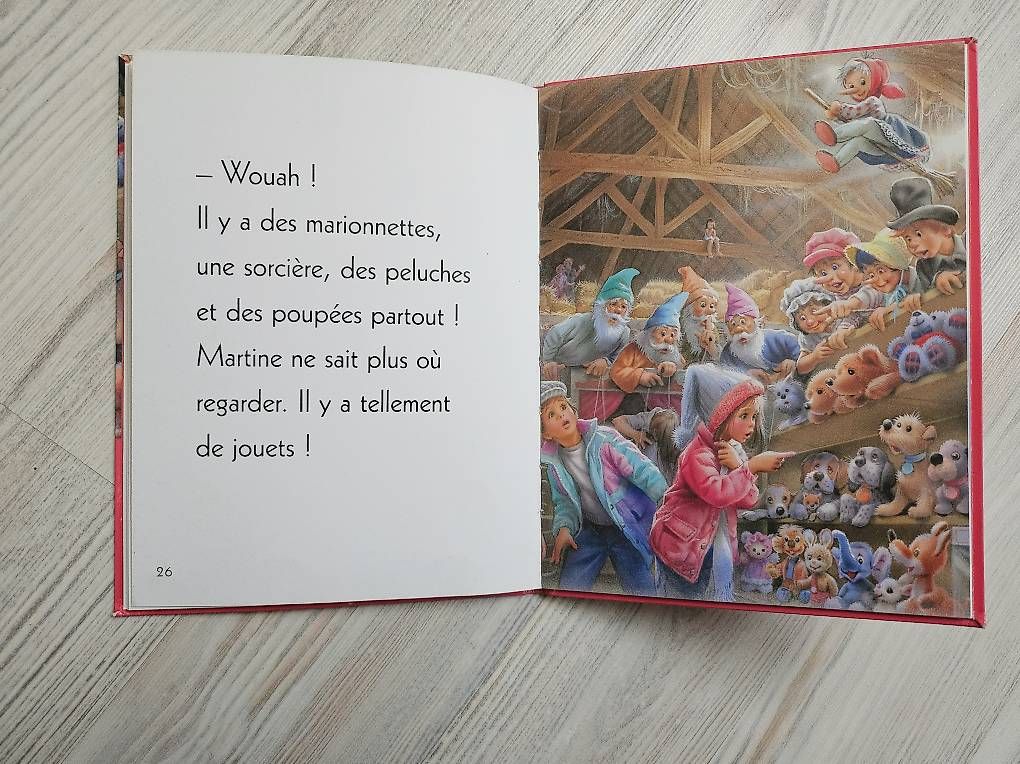 Libri: Livre collection rose – Usato da Fully venduto da cvivi75 2