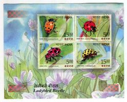 Block "Marienkäfer". Indien