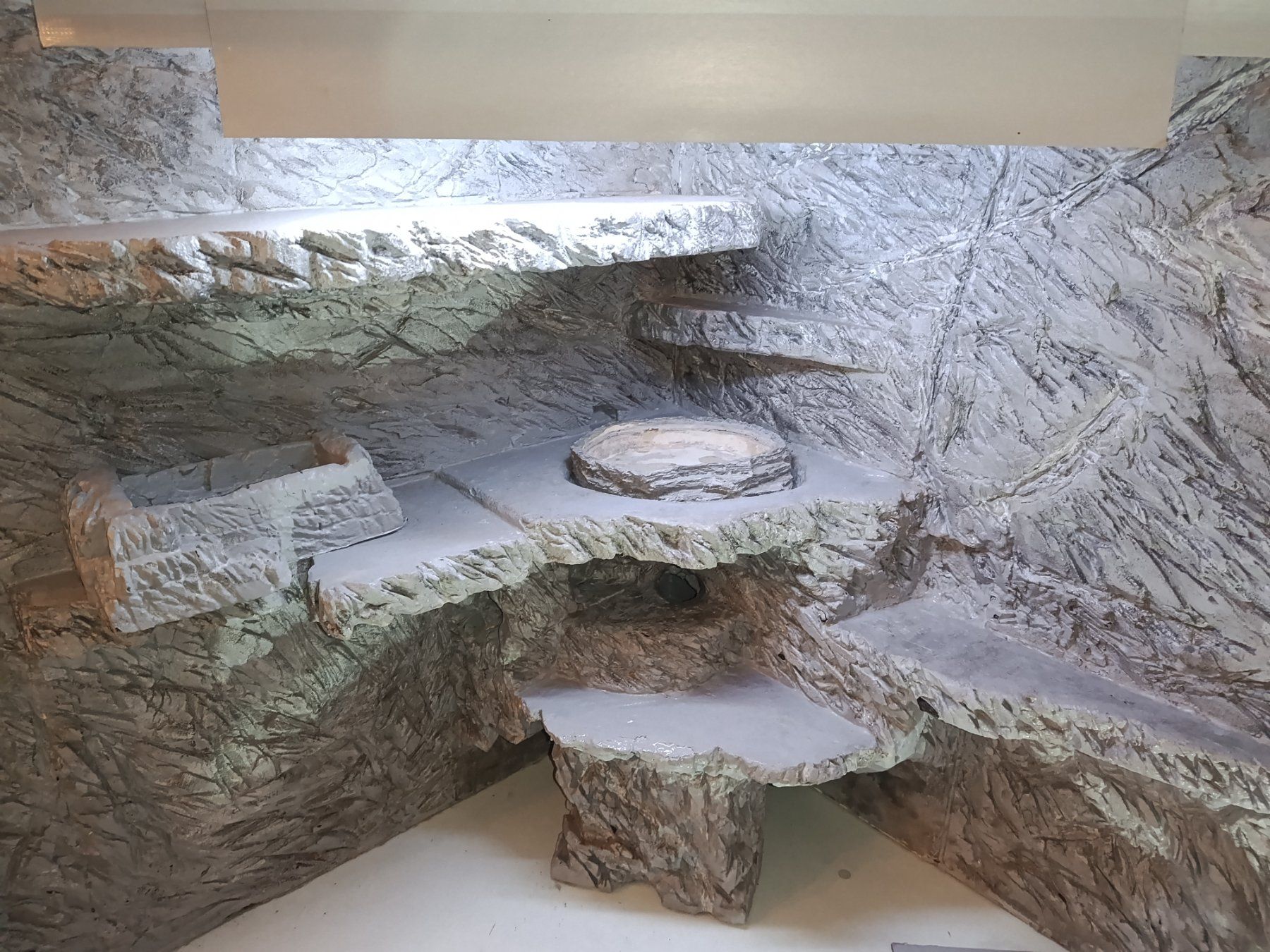 Terrariums: Terrarium – D'occasion à Schwarzenberg LU par Schaemu 1