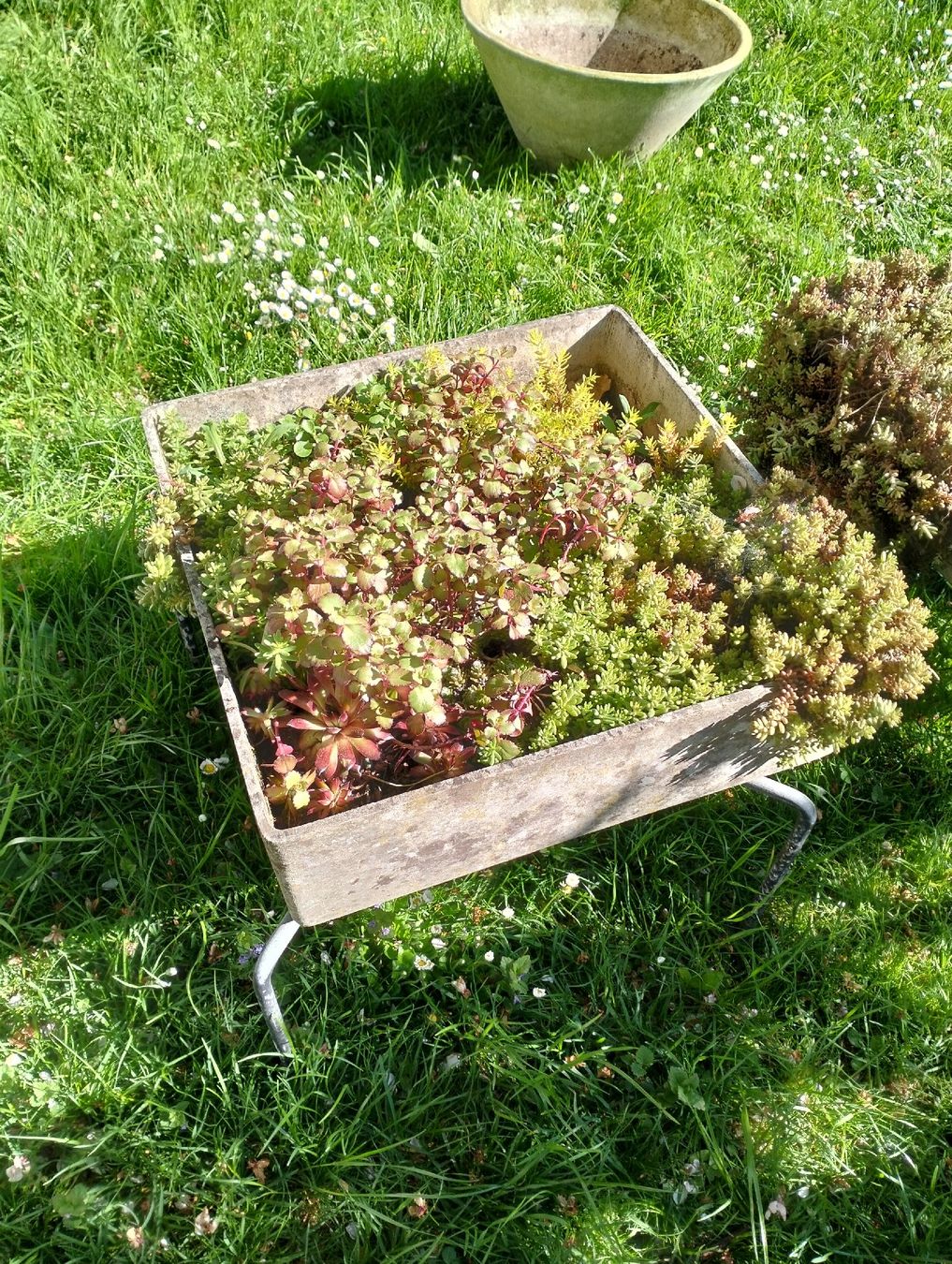 Vasi per fiori: Bruno Rey Blumentopf mit Metalgestell – Usato da Wil SG venduto da die-wohnung 3