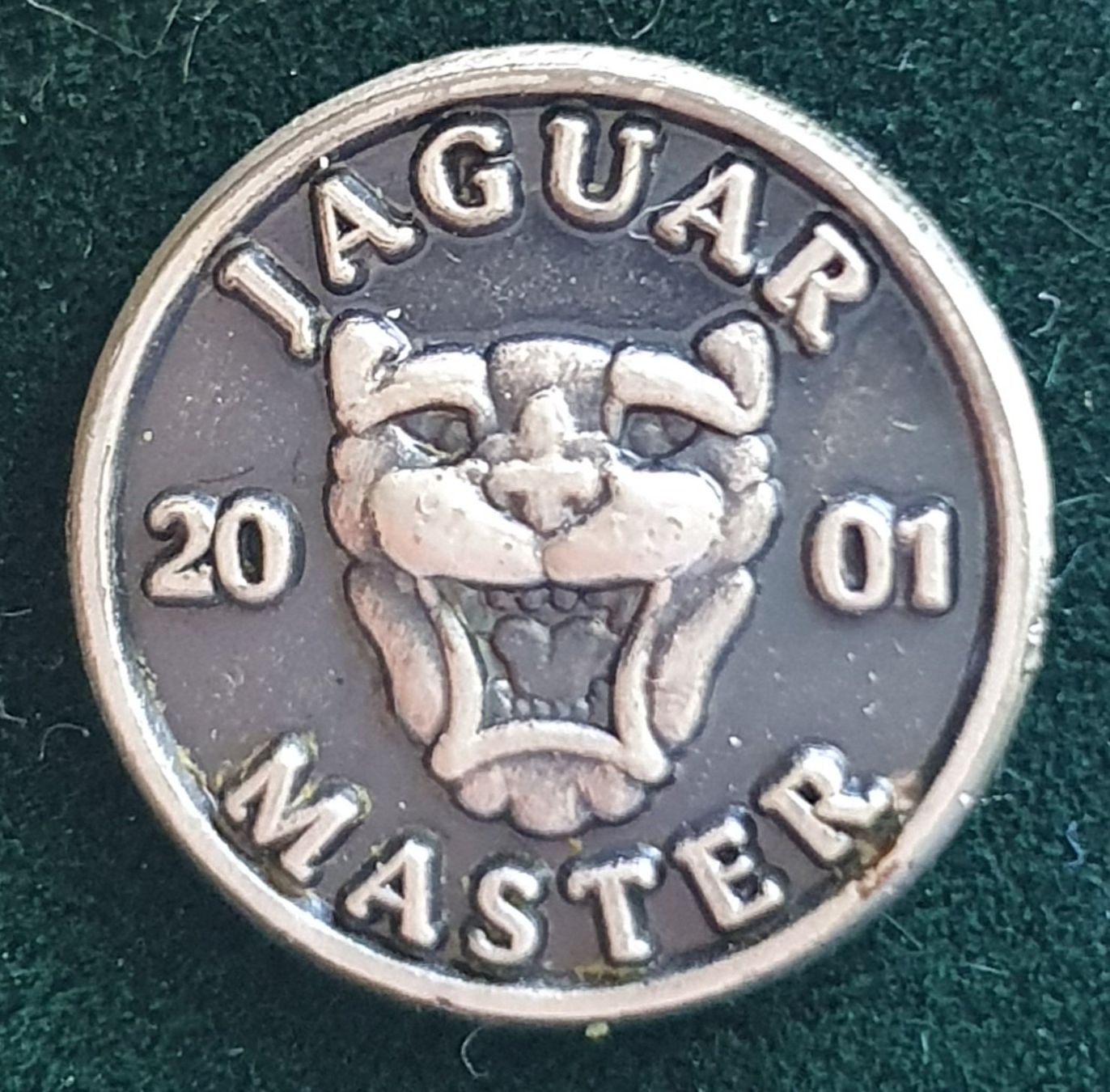Jaguar Placchette & Badge: 2x Pin Jaguar Master 2001  in Geschenk-Box – Nuovo (secondo la descrizione) da Zürich venduto da issi267