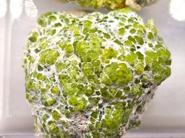 Demantoid Malenco Valley, Sondrio Province, Lombardy, Italy