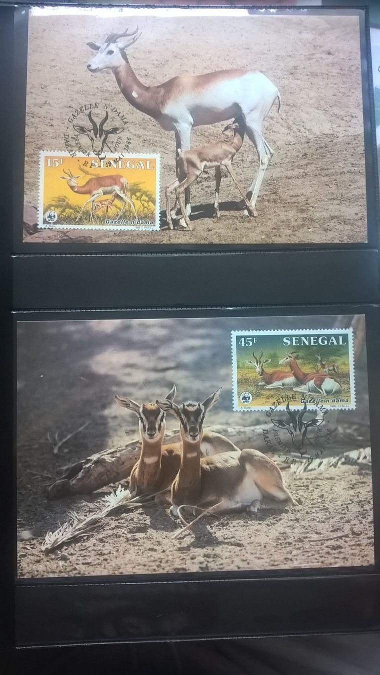 Alle Briefmarken: WWF Senegal 1986 Damagazelle Satz Maximumkarten – Neu (gemäss Beschreibung) aus Winterthur von schnueps 1