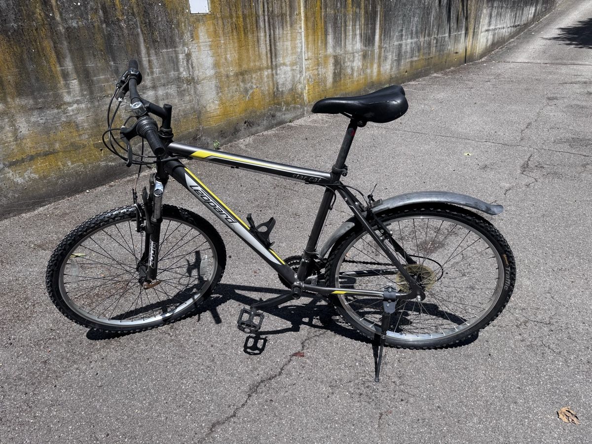 Leopard Velos: Leopard Star Cat Bicycle good condition – Gebraucht aus Rizenbach von har_8d7l