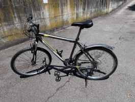 Leopard Star Cat Bicycle good condition
