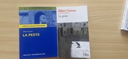Albert Camus La Peste und Königs Erläuterungen dazu