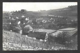 Boppelsen Dorfansicht mit Stempel BOPPELSEN (ZÜRICH)