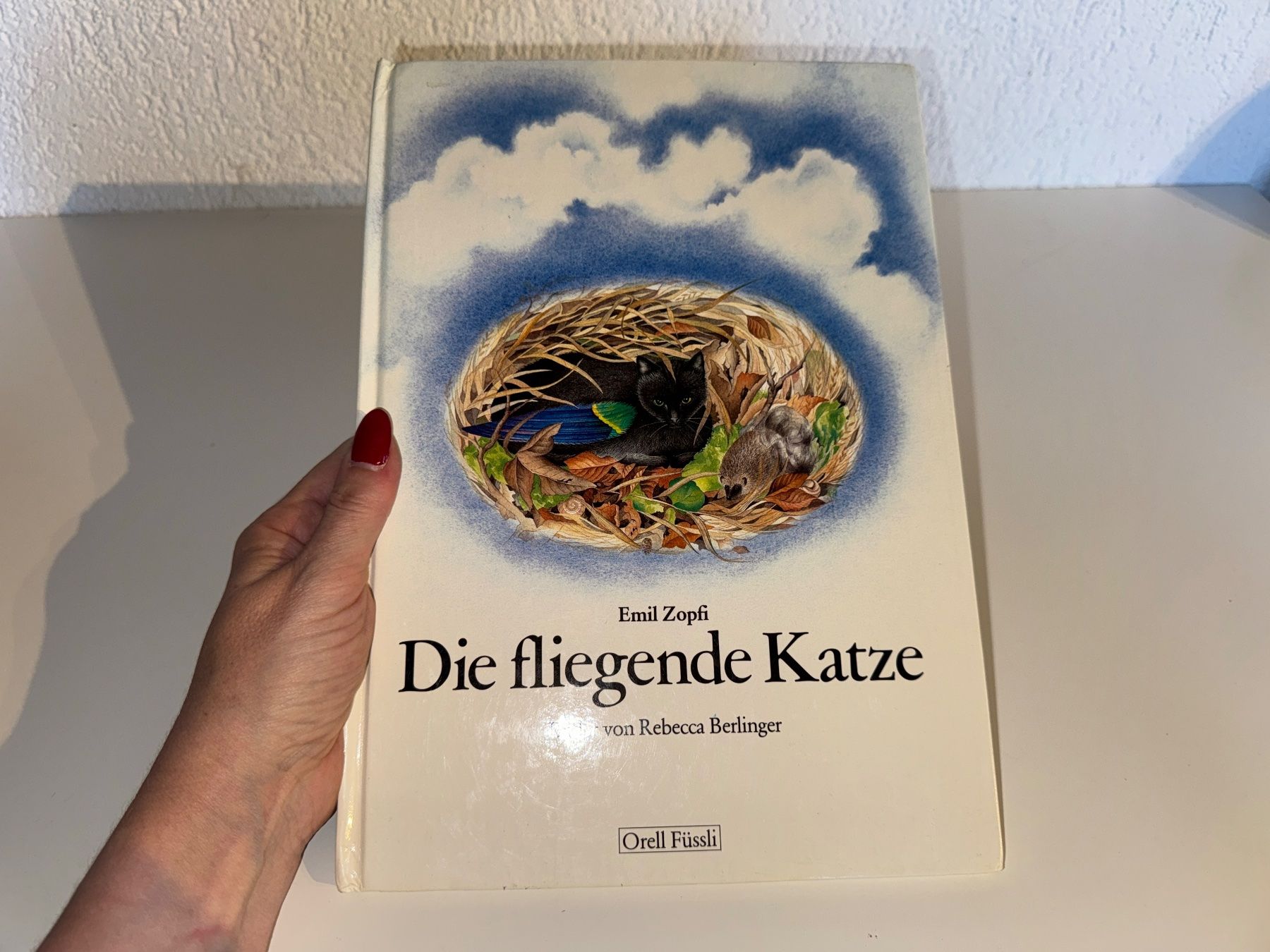 Libri: BUCH: Emil Zopfi, Die fliegende Katze – Usato da Grosswangen venduto da Kleine.Knoepfe