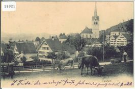 Teufen - Dorfpartie - Kühe, vaches