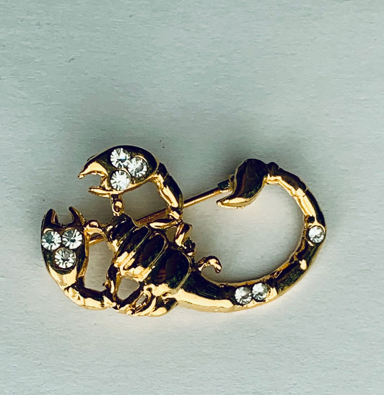 Spille & Fermagli: Goldfarbene Brosche, Skorpion mit Strass – Usato da Bern venduto da Flora.Sonea