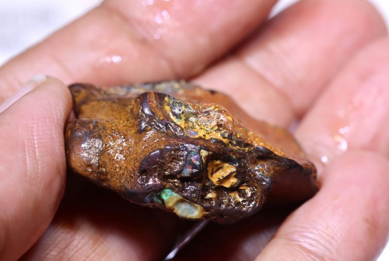 Pietre preziose: Australien Yowah Opal Roh 94.83Cts. – Nuovo (secondo la descrizione) da Bern venduto da Grindelwaldaus 3