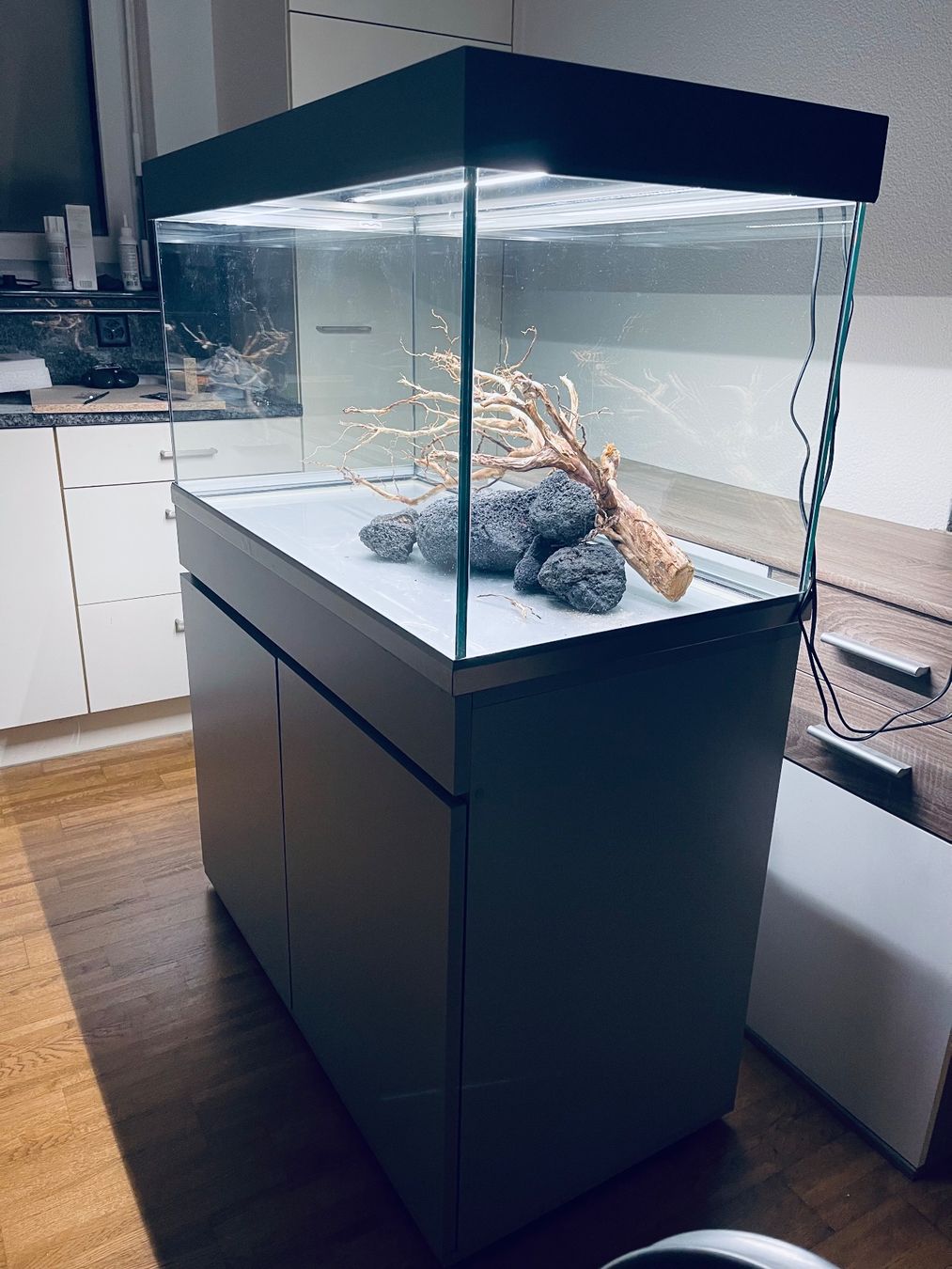 Eheim Acquari: Aquarium 🐠 Eheim 250 – Usato da Hinwil venduto da ron_t8wh 2