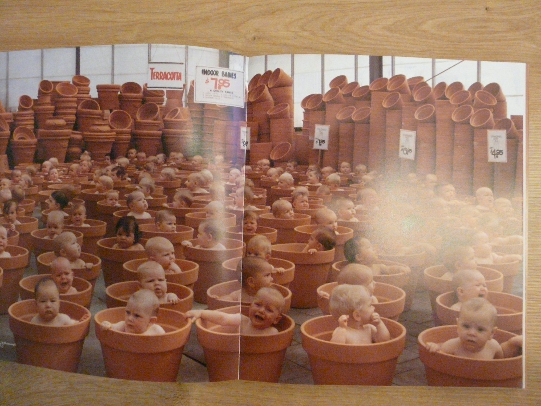 Libri: Buch Will Kommen Anne Geddes – Usato da ERLINSBACH venduto da doudouce 4
