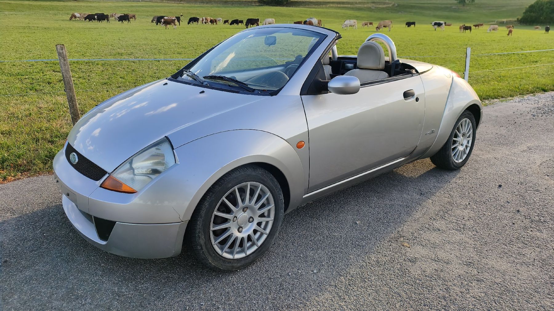 Ford Autos: Ford Street Ka – Gebraucht aus Tuttwil von ShelbyGT500KR 1