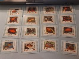 Lot Briefmarken Umm al Qiwain Fische