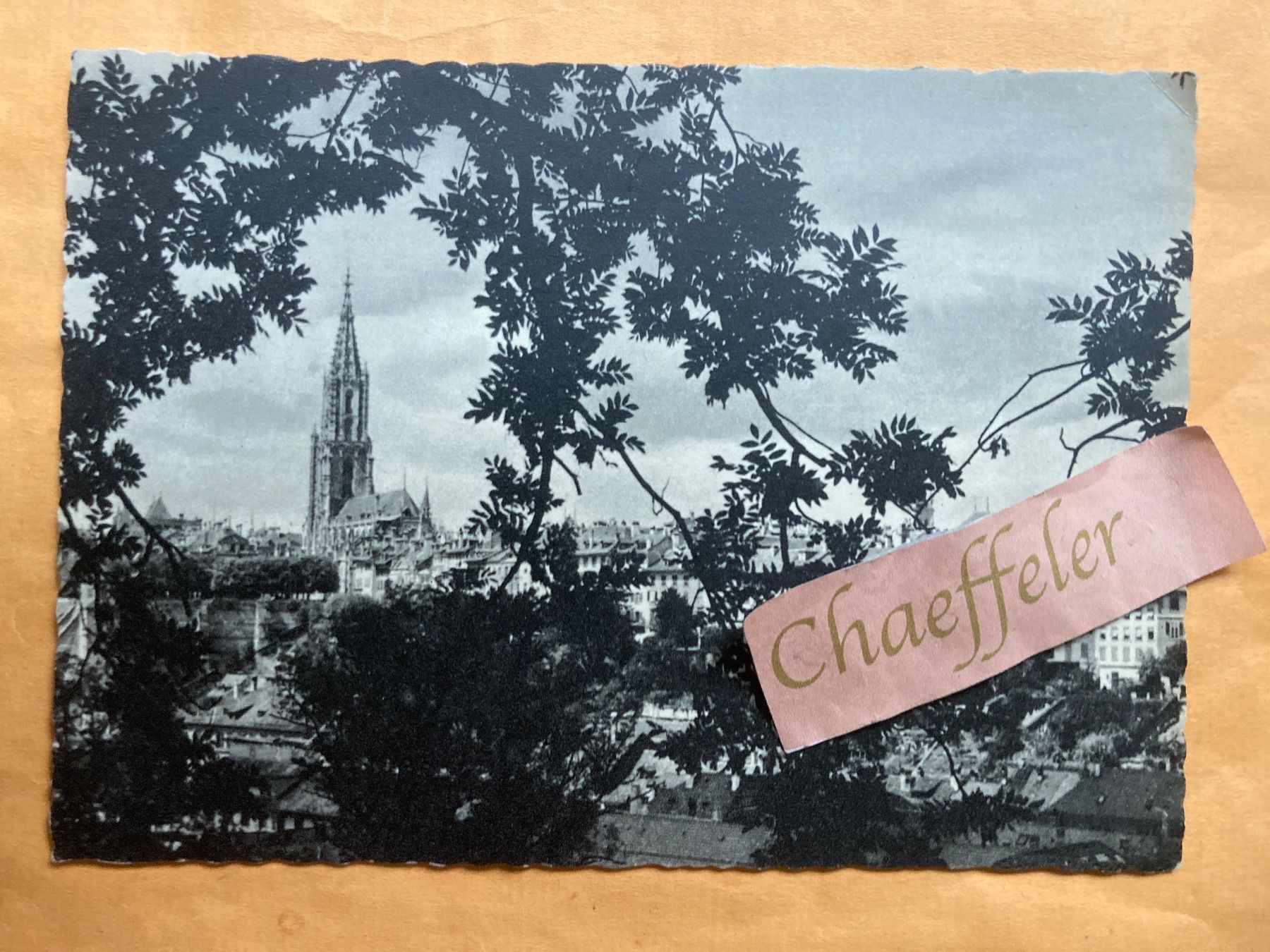 Cartoline postali: Bern. Blick vom Gr. Muristalden auf – Usato da Zürich venduto da Chaeffeler