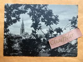 Bern. Blick vom Gr. Muristalden auf