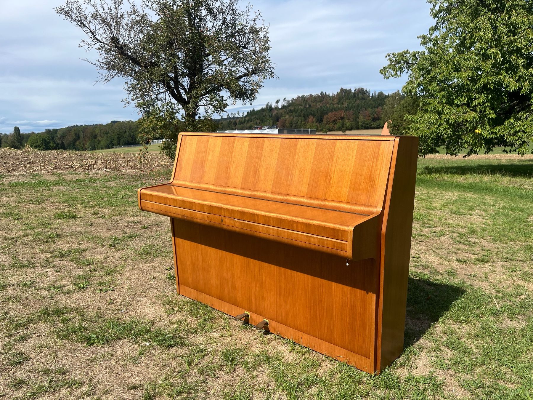 Feurich Musikinstrumente: Klavier Feurich Kreuzsaitig – Gebraucht aus Allmendingen b. BE von juair 1