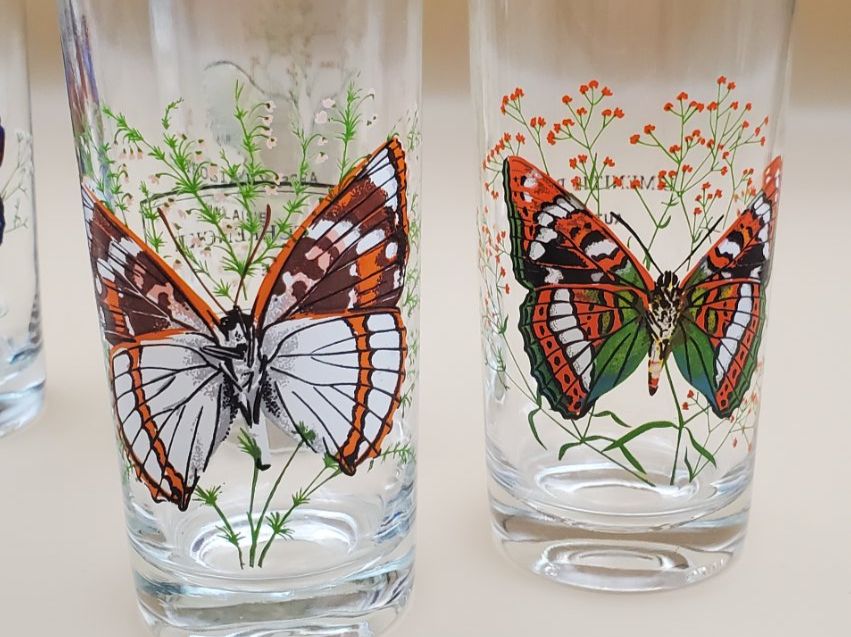 Bicchieri: 7 verres collection papillons du monde – Usato da Rennaz venduto da La_malle_du_dauphin 5