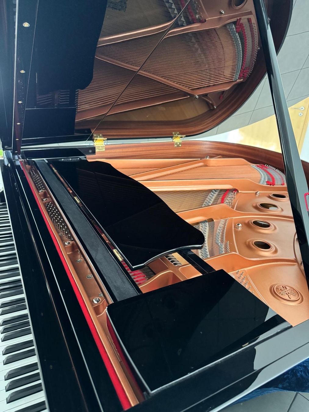 Yamaha Strumenti musicali: Flügel Yamaha GC1 TA PE – Usato da Breitenbach venduto da nic_w9gp 2