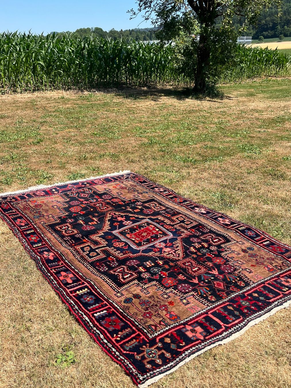 Tappeti: Orient Teppich Handgeknüpft Nahavand Iran – Usato da Allmendingen b. BE venduto da juair 5