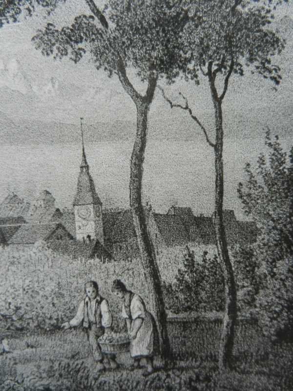 Incisioni: Zug selten – Usato da Risch venduto da Rischli15 6
