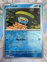 Pokémon TCG - Lotad Reverse (JTG035) Journey Together